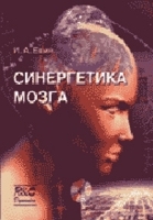 Синергетика мозга артикул 11356a.
